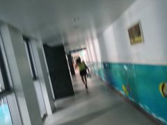 -武钢体育中心恒温游泳馆