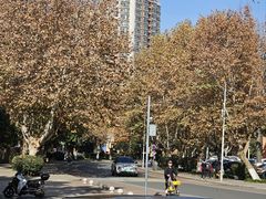 -西南交通大学(九里校区)