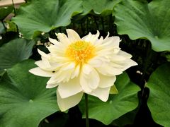 -南戴河国际娱乐中心