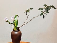 -九华山聚龙大酒店