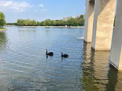 -长春世界雕塑园冰雪艺术天地