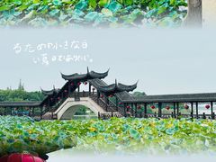 -锦溪古镇
