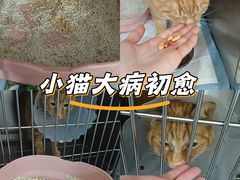 -科道动物医院·急重症中心(万达院)
