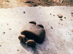 -秀水公园