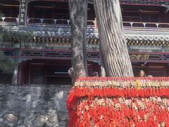 -潭柘寺景区