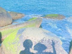 -海源公园