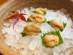 -月龍吟(朝龙汇店)