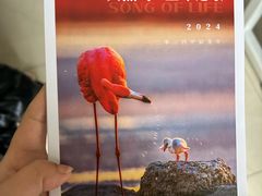 -好利来(龙首印象城店)