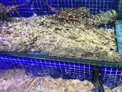 -青蓬蒸汽海鲜·深圳老字号·团建聚会(壹方城店)