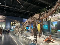 -国家自然博物馆