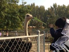 android_upload_pic-意大利农场度假村