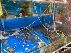 水产区-海帮主·蒸汽海鲜青岛菜(栈桥火车站店)