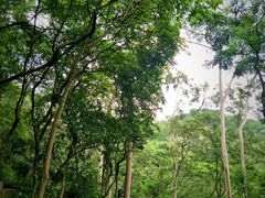 -广州市白云山风景名胜区
