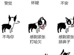 -龙门李家三旦羊肉汤馆