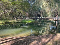 -长白岛森林公园