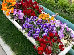 -上海交通大学医学院附属仁济医院(南院)