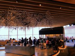 -Seesaw Coffee(朝阳大悦城店)