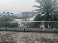 -探鱼·鲜青椒爽麻烤鱼(天河优托邦店)