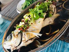 -自游人·美食一楼·地道徽菜(三十年名店)