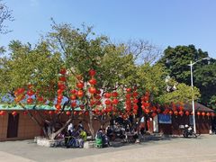 -梧桐山风景名胜区