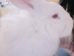-有何Book(六堰体育馆店)