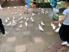 -国色天乡三期陆地乐园