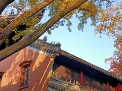 -灵谷景区