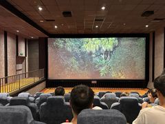 -华美国际影城(旧宫永辉店)