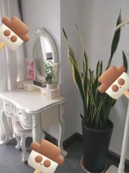 -YooMee优美智能科技美肤机构