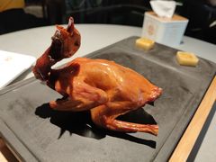 -大鸽饭(体育西路店)