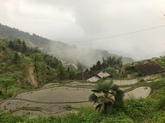 -紫鹊界梯田景区