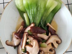 -爱月宝月嫂·育儿嫂(哈尔滨总店)