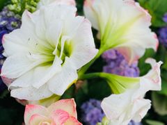 -莲花山公园