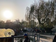 -莲湖公园