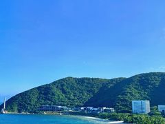 -沿江海南菜·文昌鸡祖师爷(大东海店)