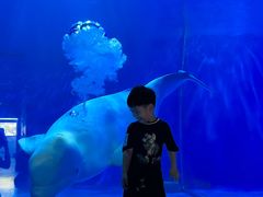 -多彩贵州城极地海洋世界