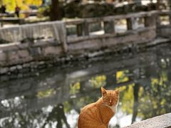 -西园寺