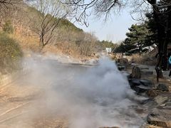 -北京西山国家森林公园