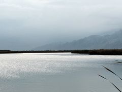 -哈素海