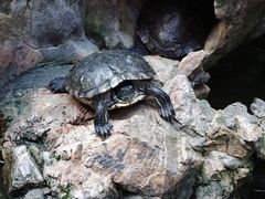 -显应宫(长乐区)