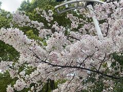 -宝燕壹号(徐汇店)