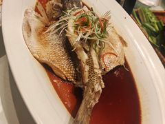 -燕郊烧鸽子(酷车小镇店)