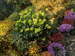 -杭州植物园