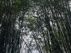 -麦当劳(杭州运河上街商业中心店)