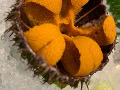 -满田家大排档(朝阳店)