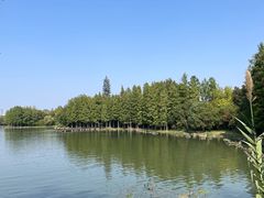-长广溪湿地公园
