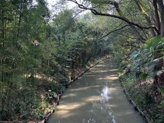 -同里国家湿地公园