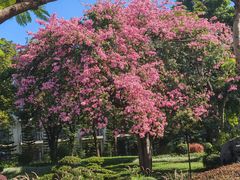 -佛冈森波拉度假区