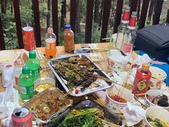 -客乐得玉峰山房车营地