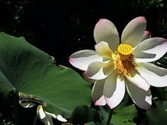 -维乐口腔医院(星海湾分院)